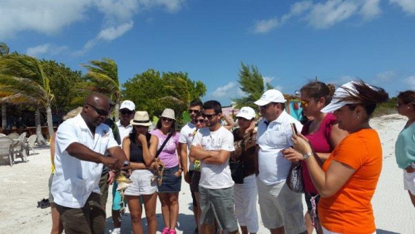 Majestic Taxis and Tours. Turks and Caicos